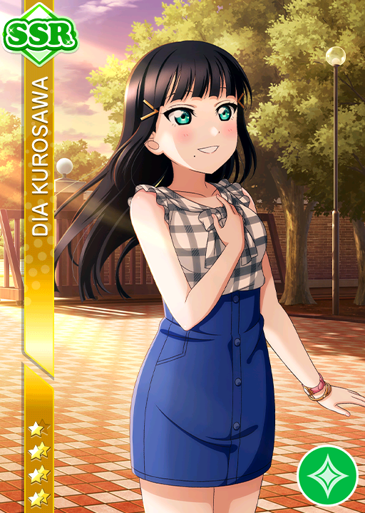 黒澤サファイア Zane Lever in Black ZL2220BC – Copper Creek Hardware