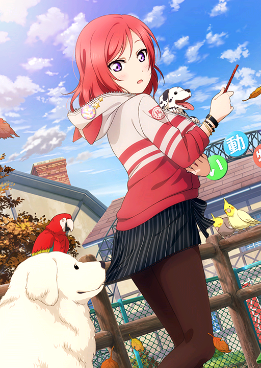 Cards - #701 西木野真姫 UR | LLSIF EN